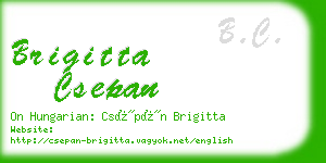 brigitta csepan business card